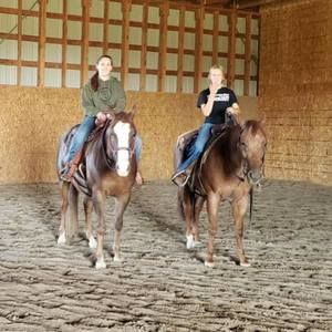 Meet your Posher, Laney